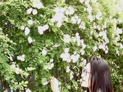 -十堰高级职业学校