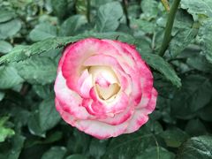 -人民公园(罗湖区)