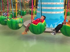 -南宫五洲植物乐园