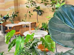 -迦南的早晨蛋糕甜品集合店