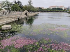 -集美学村
