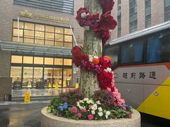 -慈铭体检(北京奥亚分院)