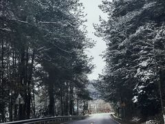 -山王坪喀斯特国家生态公园