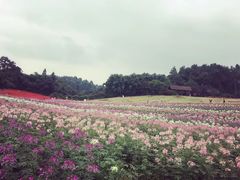 -保利石象湖景区