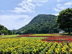 -广州市石门国家森林公园