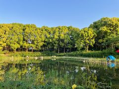 -美兰湖景区