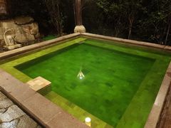 -天目湖涵田半山温泉