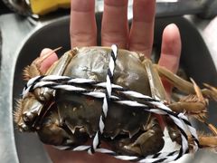 -七的湖·晚芳亭·阳澄湖农家菜·大闸蟹(莲花岛店)