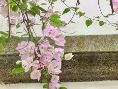 -深圳国际园林花卉博览园