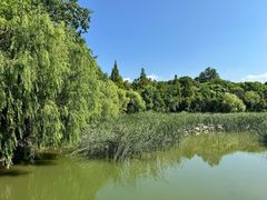 -上海吴淞炮台湾国家湿地公园
