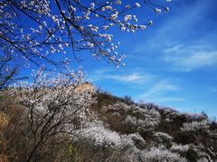 -蟠龙山长城景区