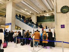 -戴高乐机场火车站