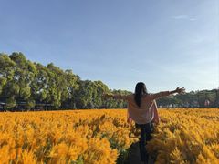 -广东花都香草世界旅游度假区