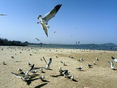 -八仙过海景区