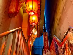 -谭鸭血老火锅(日本东京店)