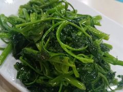 炒时蔬-天一沾水肥肠(科园一街店)