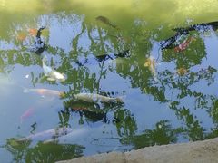 -三里河公园