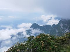 -峨眉山风景名胜区