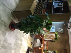 点击看大图 小左美发(五角场店)-小左沙龙