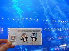 -成都浩海立方海洋公园