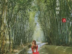 -广东茂名森林公园