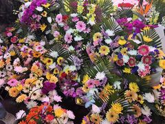 -花鸟鱼虫鲜花绿植市场(玉泉路店)