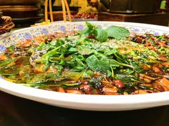 -杨记隆府(白象街店)