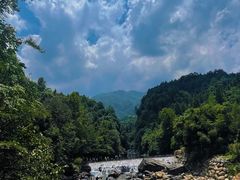 -石台牯牛降景区
