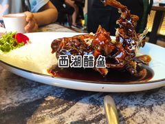 -新白鹿餐厅(松江开元地中海店)