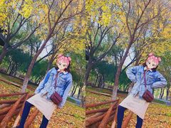 -大兴滨河森林公园