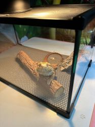 -酷嗒动物文化乐园(cutezoo西溪乐天城店)