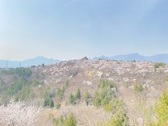 -白水寺森林公园