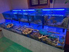 -老家黄墩小错鸡·活海鲜