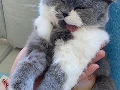 -美迦爱-牙专科·兔科·骨科诊疗中心(北苑店)