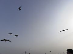 -星海广场
