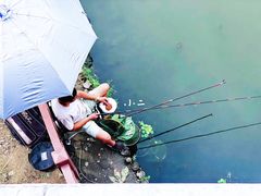 -新江湾城公园