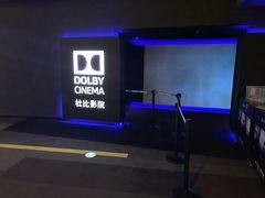 -万达影城(闵行颛桥万达广场杜比影院店)