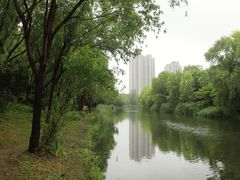 -新江湾城公园