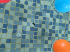 -大连金石滩绿发温泉假日酒店