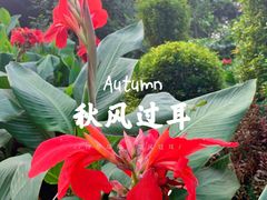-长白岛森林公园
