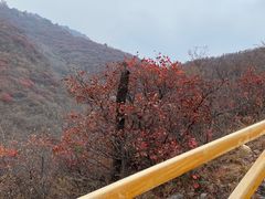 -水峪民俗村