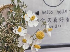 -mint Again汉禧