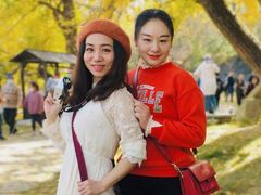 -千年银杏谷文化旅游区