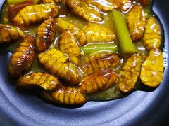 -真利味·脊骨火锅·正宗韩国料理(韩乐坊店)
