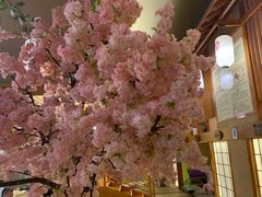 -汤泉良子(金源店)