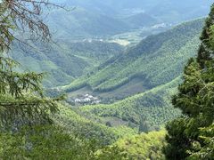 -莫干山风景区