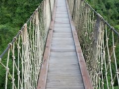 -三亚亚龙湾人间天堂鸟巢度假村