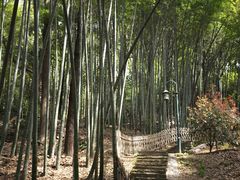 -杭州黄龙洞