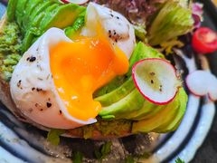 -Elephant Grounds(STARSTREET)