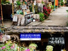 -野象谷景区